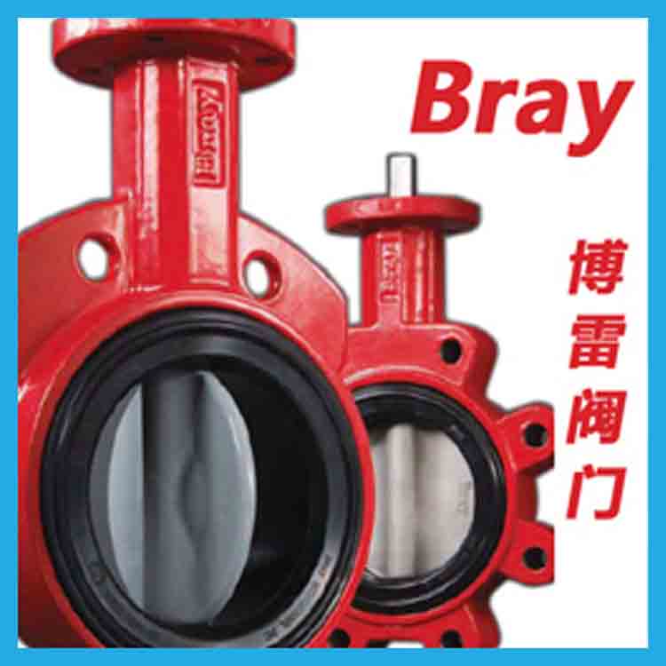ףBrayS3